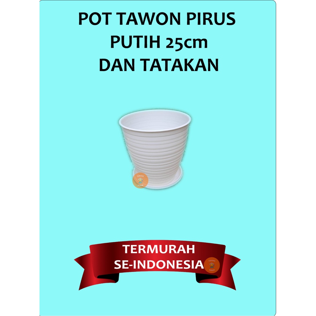 1 Set Pot Bunga Madu Tinggi Tawon Pirus Tirus 25cm Putih dan Tatakan