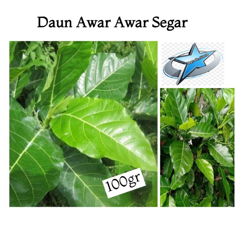 

Daun Awar Awar Segar 100gr