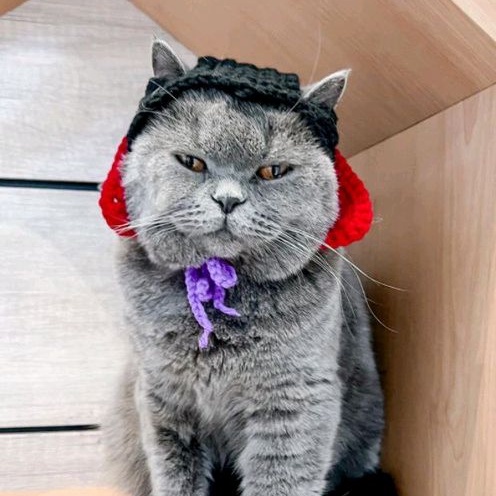 Catcula Crochet Hat (Topi Kucing Crochet Dracula)