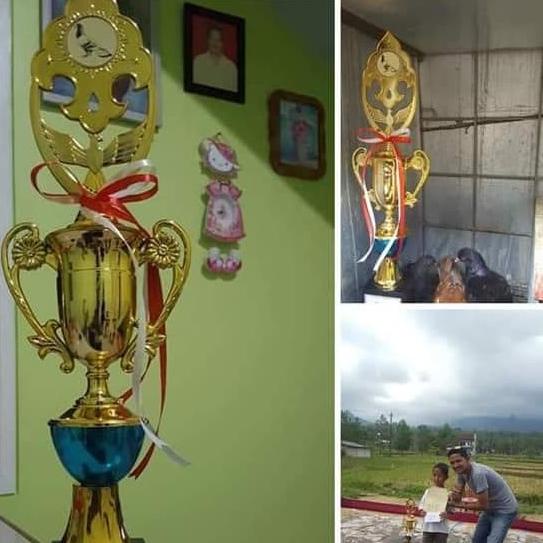 RJB jamu merpati RJB Jamu burung RJB