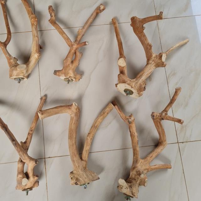 Tangkringan kayu kopi