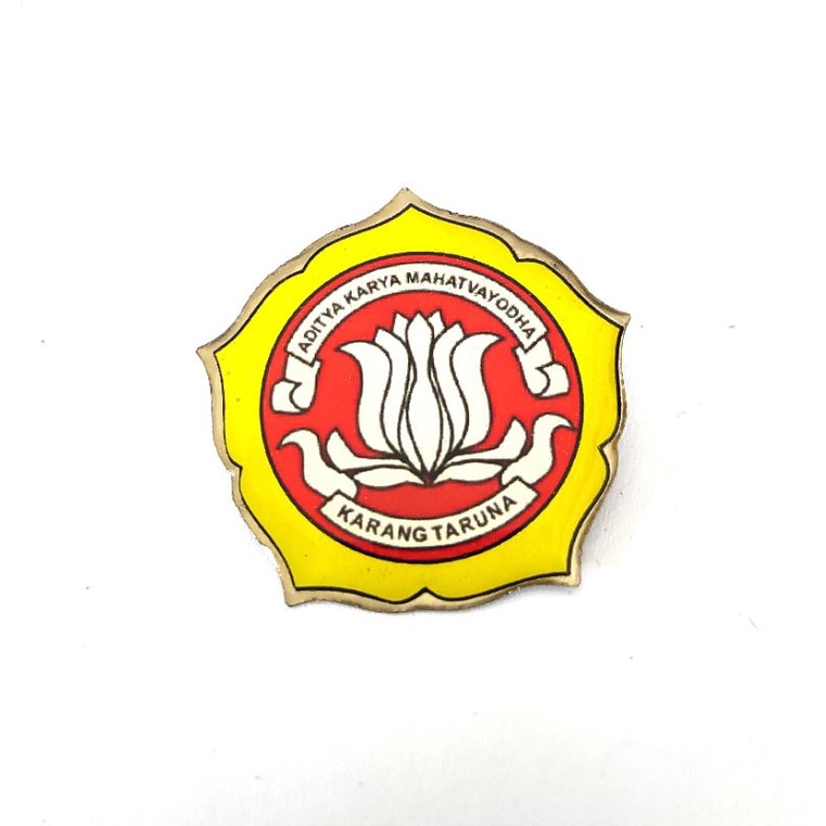 PIN Karang Taruna