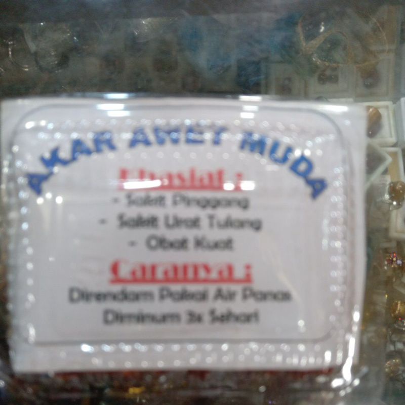 

akar awet muda