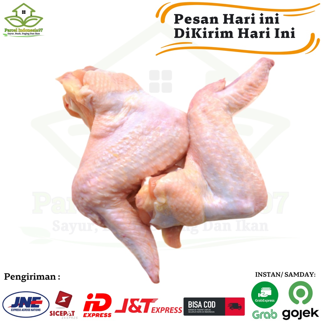 

Sayap ayam segar ayaChicken Wings | Daging Sayap Ayam | Ayam Boiler 500 gram