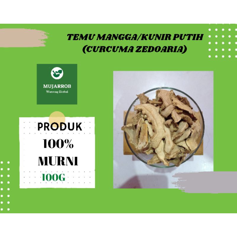 

Temu Mangga Kunir Putih Curcuma Zedoaria Bahan Tusyifa