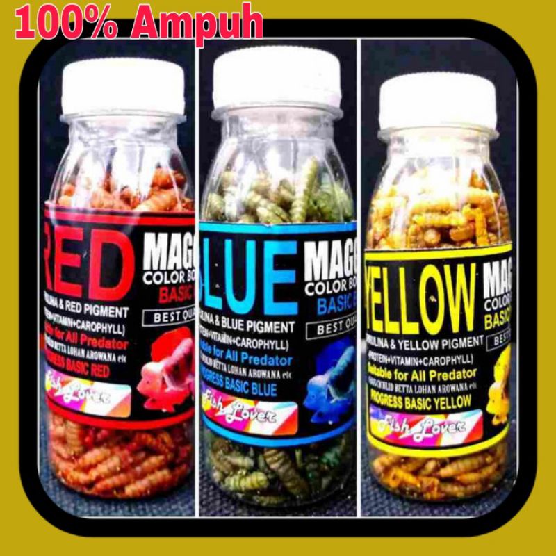 Maggot kering channa yellow blue Red Pakan Ikan Predator Original