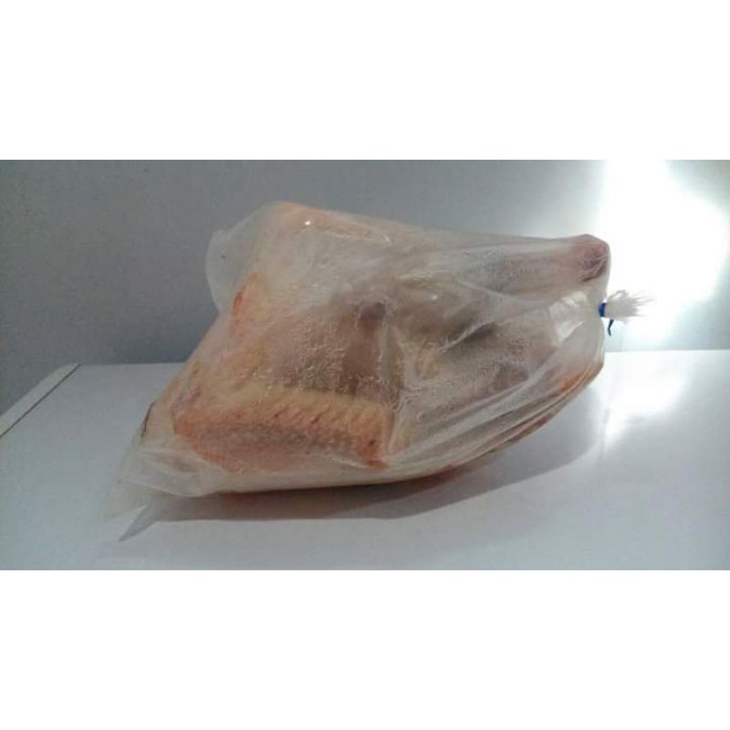 daging beku frozen ayam kalkun