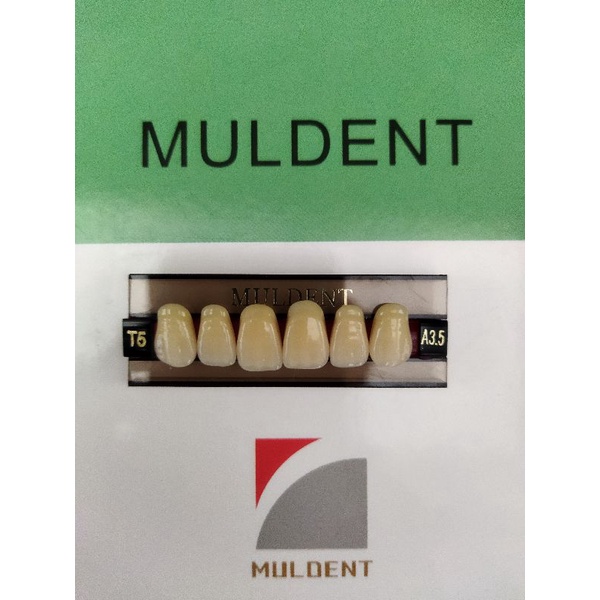 GIGI PALSU / GIGI MULDENT - DEPAN ATAS / PER BARIS ISI 6PCS / UKURAN T5 : A3.5