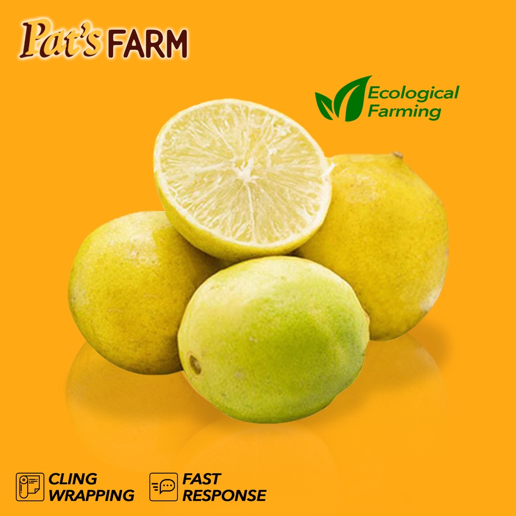 

Jeruk Lemon (Lokal)