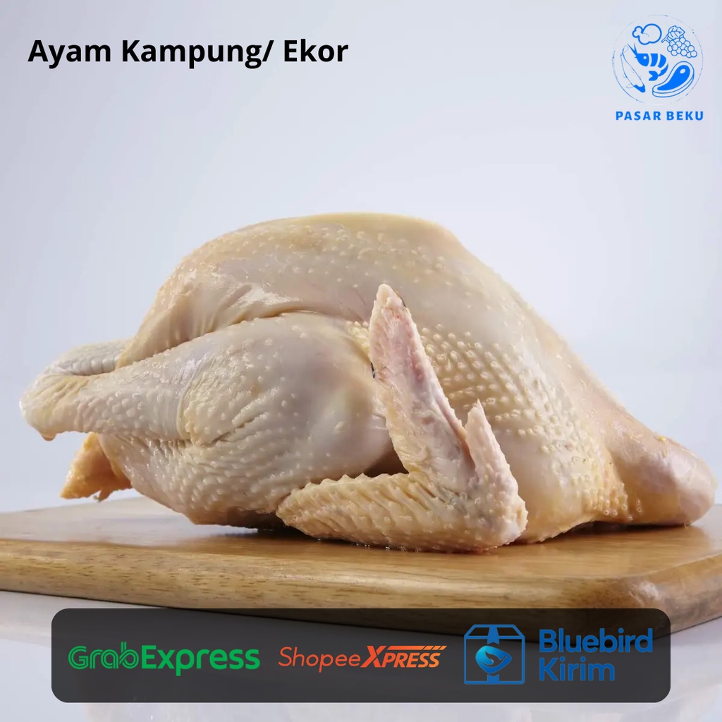 

Ayam Kampung 1 Ekor Tanpa Kulit Frozen Food Pasar Beku Padang