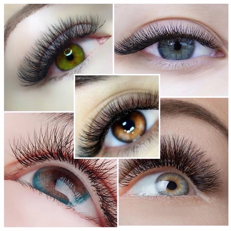 Yelix 3D W-Lashes Volume-Russian Eyelash Extension