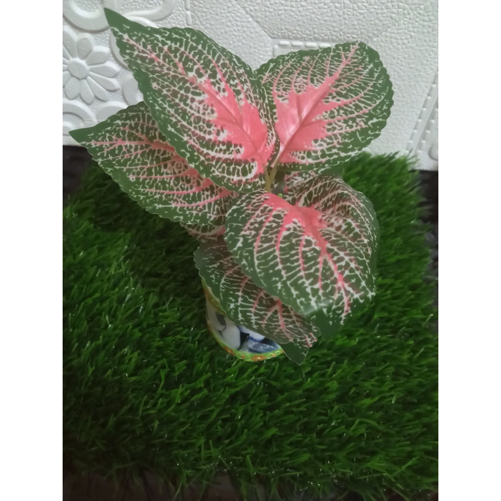 bungga hias pelastik miana cantik/ bunga hias plastik miana murah/ bunga plastik miana/bunga hias pl