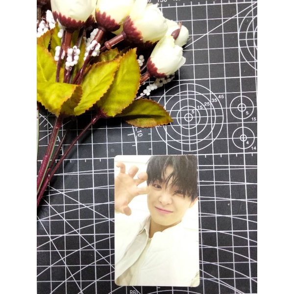 photocard jihoon maung with album