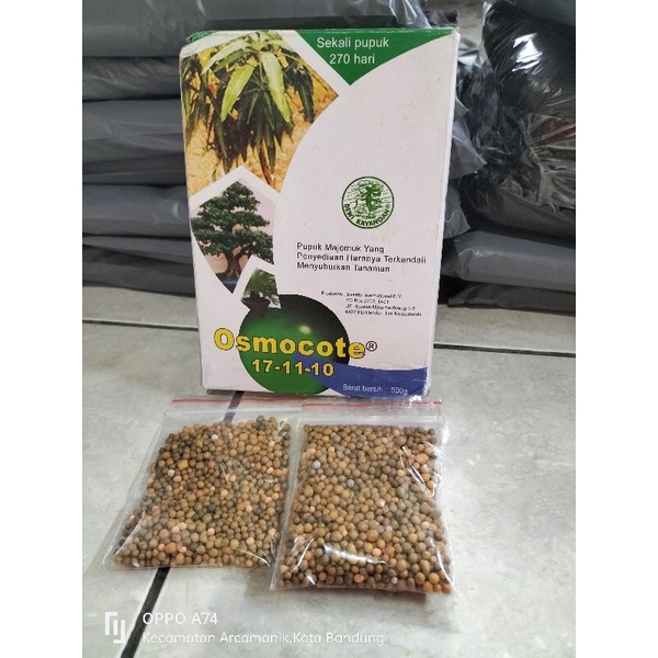 Pupuk Dekastar Osmocote daun tanaman 17 11 10 isi 50 gr dan 25 gr Pupuk daun tanaman hias Aglonema ,