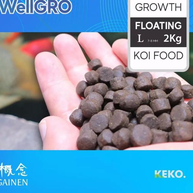 pakan koi wellgro growth 2 kg L