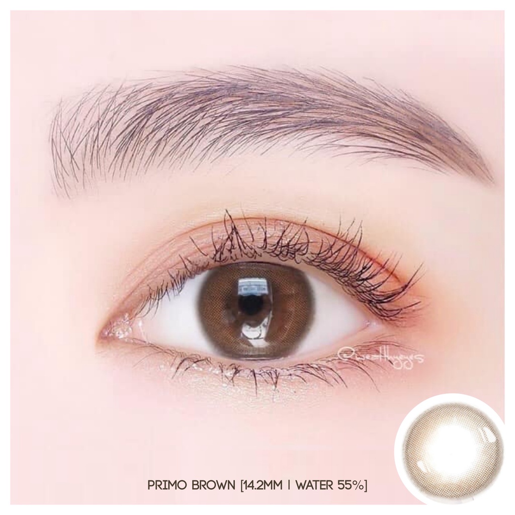 MIKHAYLOVESHOP Softlens Primo Brown | Kittykawaii