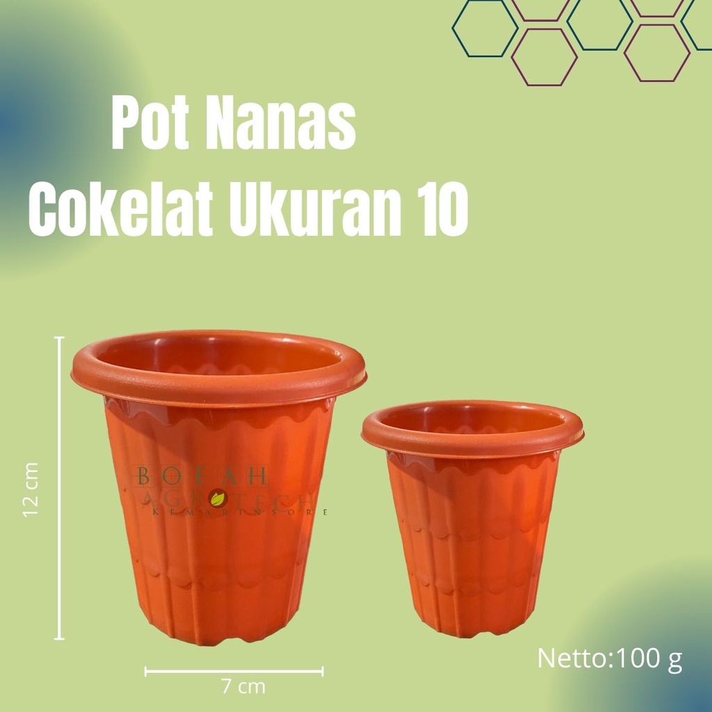 Pot Nanas Coklat Ukuran 10