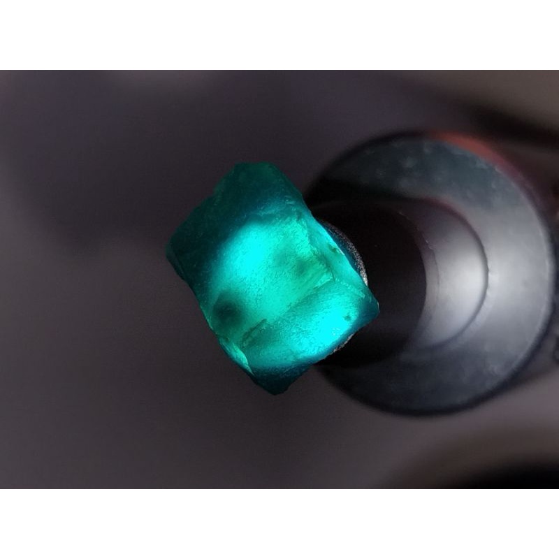 KOTAKAN BACAN DOKO GULAo