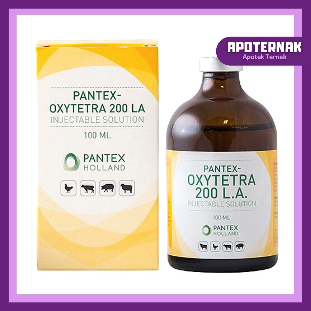 PANTEX OXYTETRA 200 LA | Obat Antibiotik Pencernaan &amp; Pernafasan Ternak | Setara Limoxin 200 LA | Pantex Holland