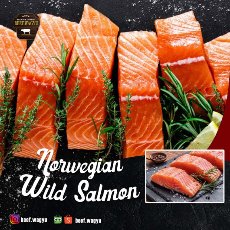 

Norwegian Wild Salmon Trout