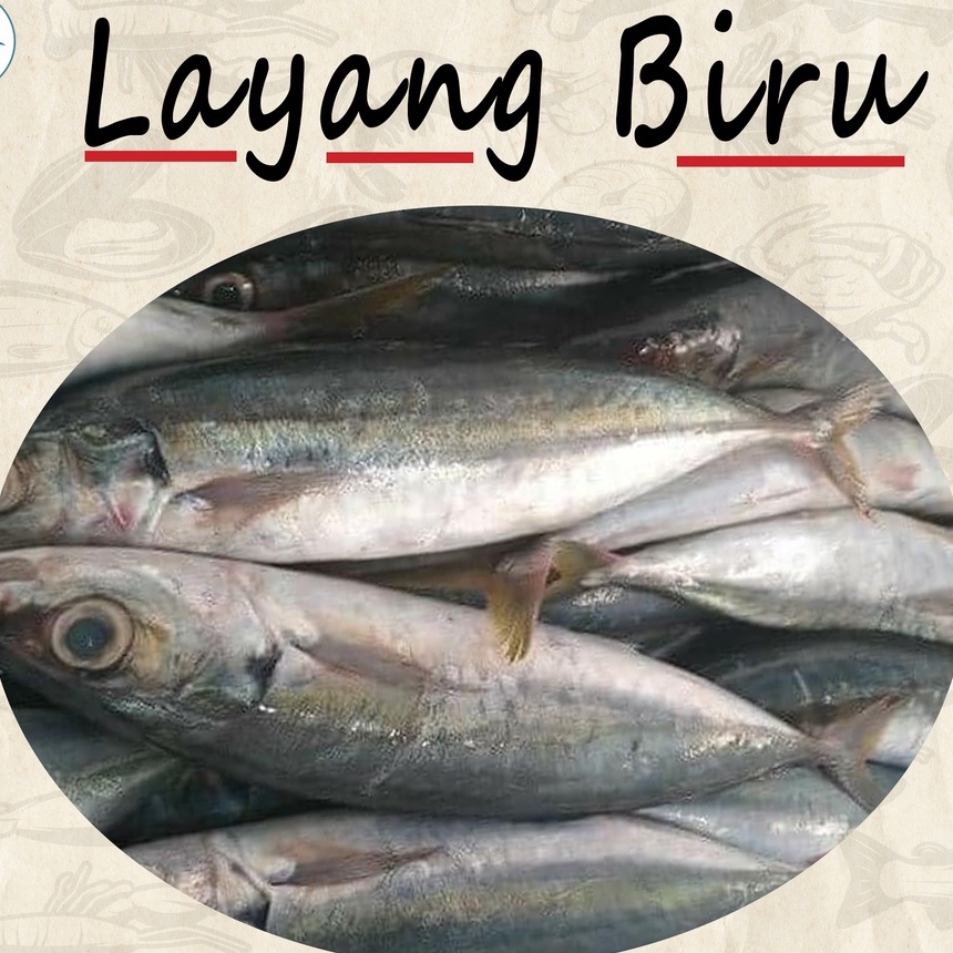 Jual Ikan Layang Biru Segar Frozen 3 5 Ekor Kg Shopee Indonesia