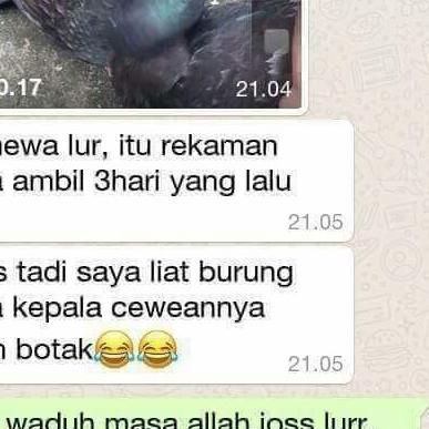 pil edan isi120 butir original merpati - Putih