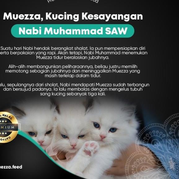 Makanan Kucing Kering - Salmon Flavor - Muezza Cat Food