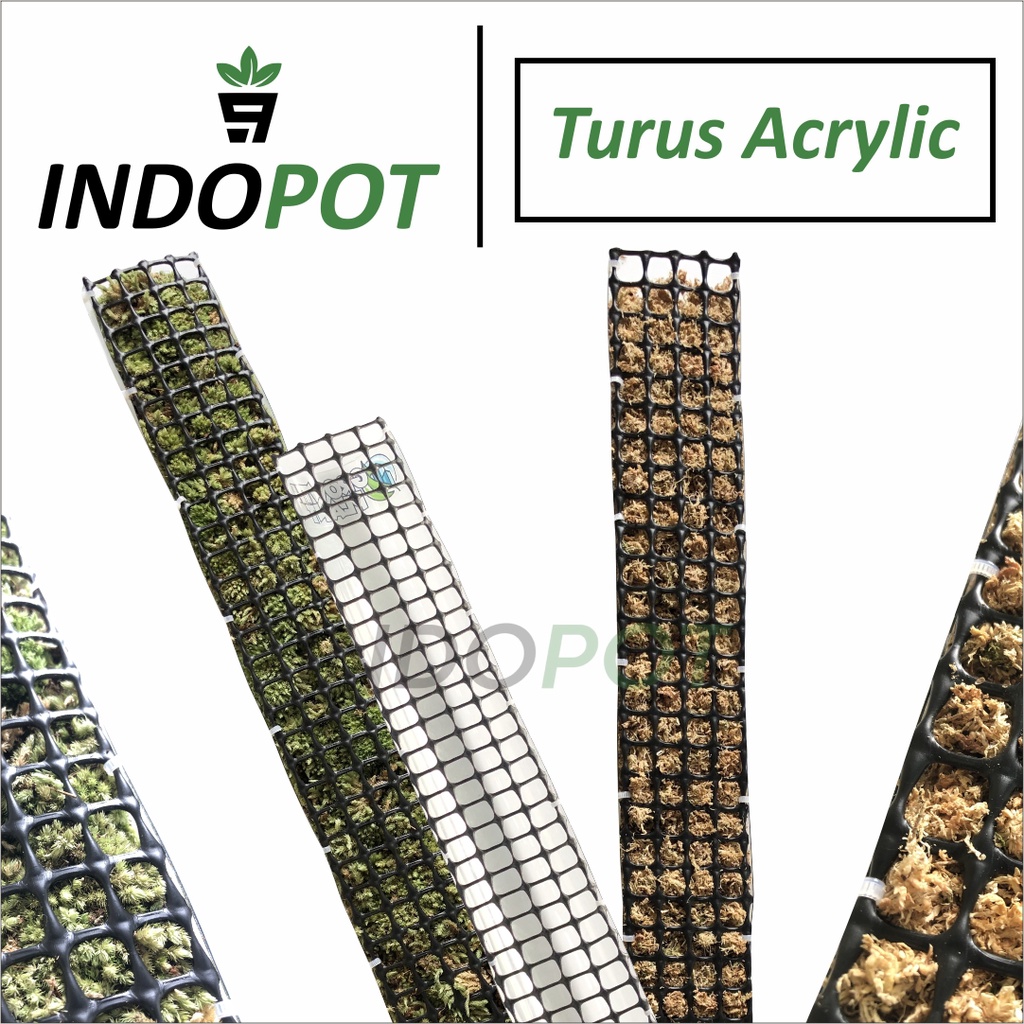 Turus Penyangga Tanaman Mika Transparant 50Cm Turus Mika Tanaman Rambat Aroid