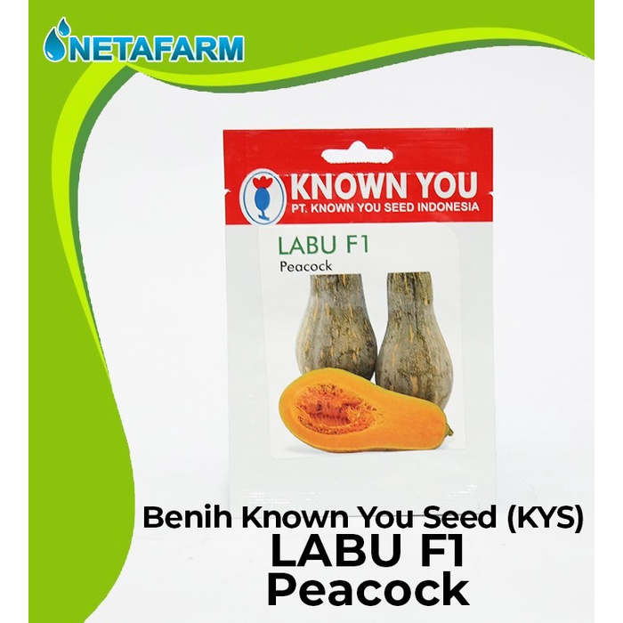 Benih / Biji / Bibit KNOWN YOU SEED KYS LABU F1 - 1 Pack