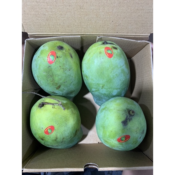 

Buah mangga harum manis -1kg