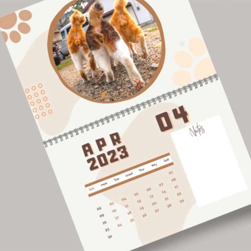 Preva Cats Buttholes Balls Calendar Hadiah Tahun Baru Kreatif Gag Hadiah Hiasan Penyembuhan Cat Balls Calendar