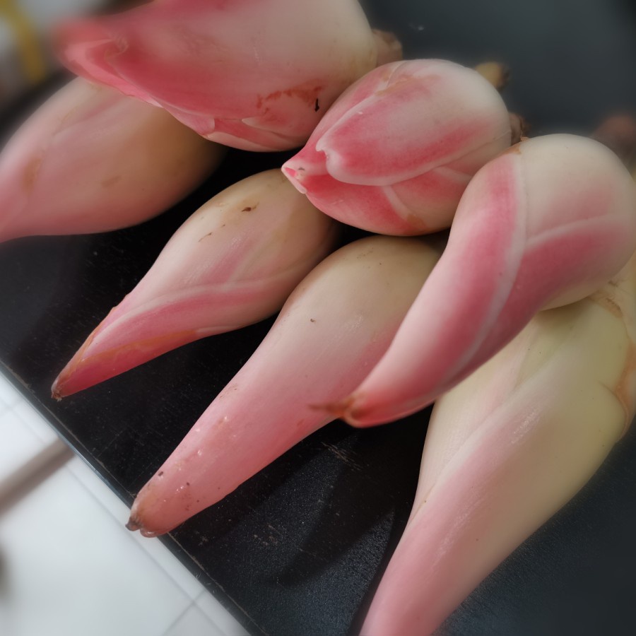 

kecombrang segar PEWANGI MASAKAN