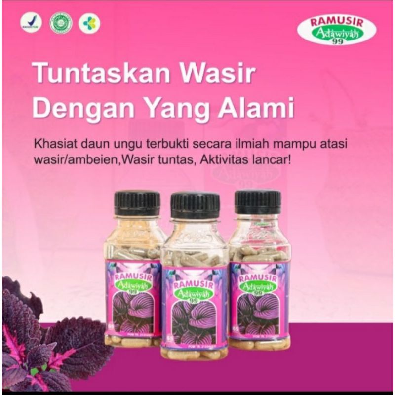 Kapsul Ramusir Adawiyah Original Herbalnya Wasir