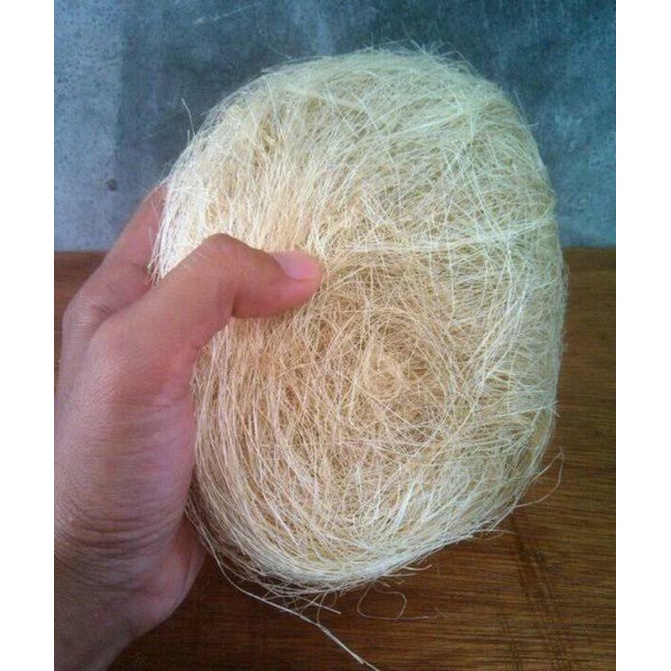 Serat Nanas Serat Kenari Murah