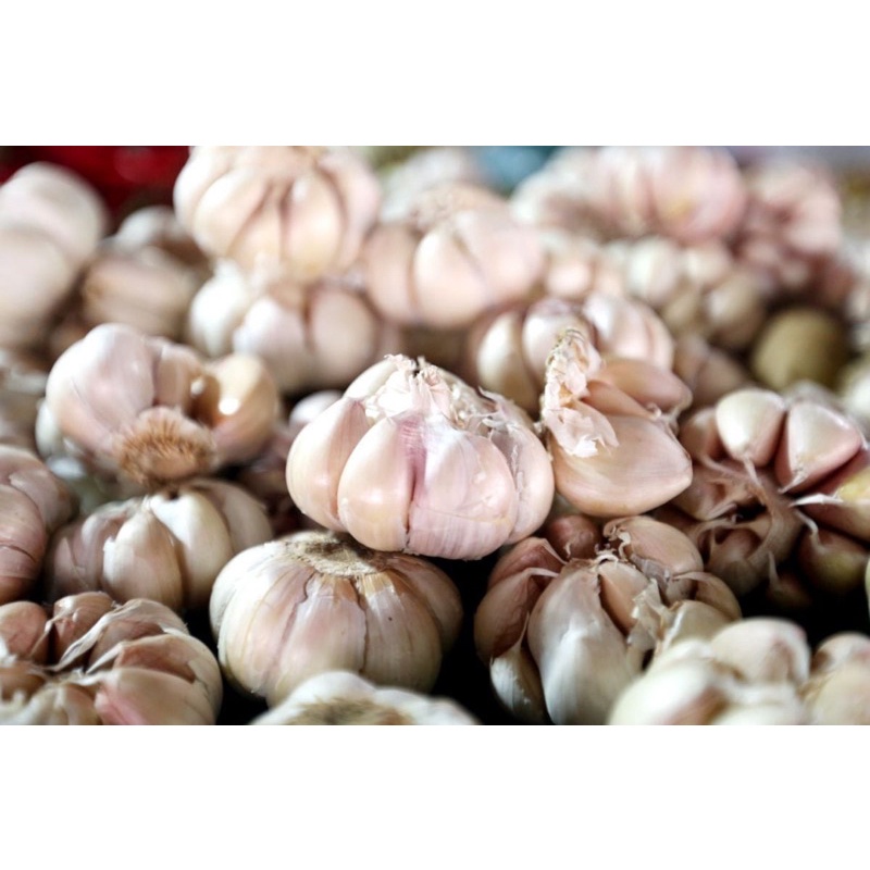 

BIG SALE !!! Bawang putih Brebes fresh 1kg