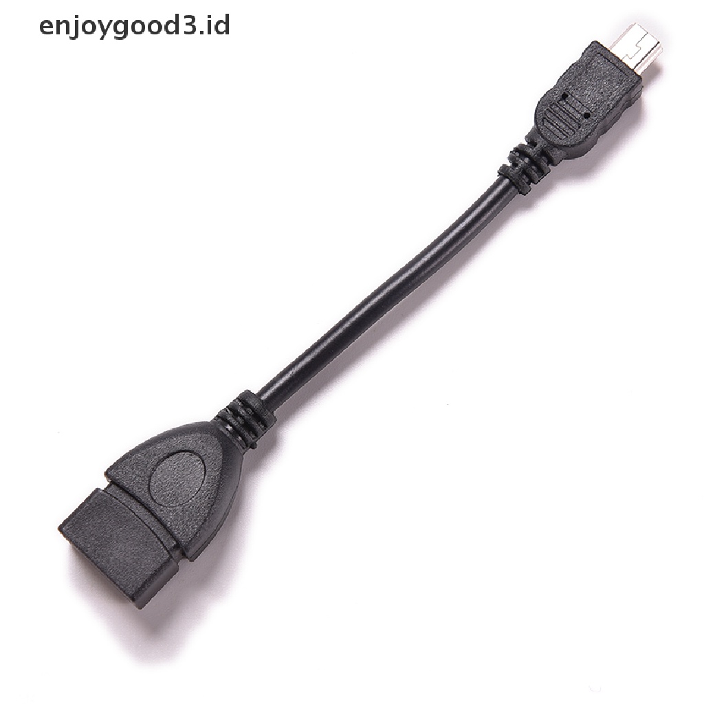 Kabel Adapter Mini 5p Male Ke USB 2.0 Tipe A Female Jack OTG Host