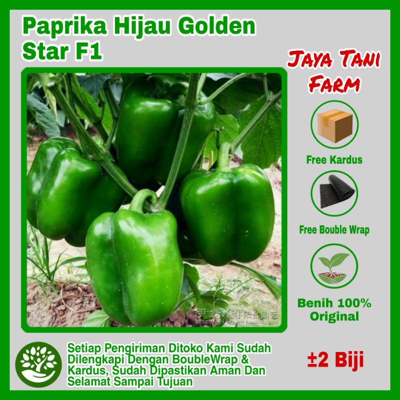 Benih Paprika Hijau Unggulan F1 / Benih Buah / Bibit Sayuran / Biji Paprika / Bibit Paprika / Bibit 