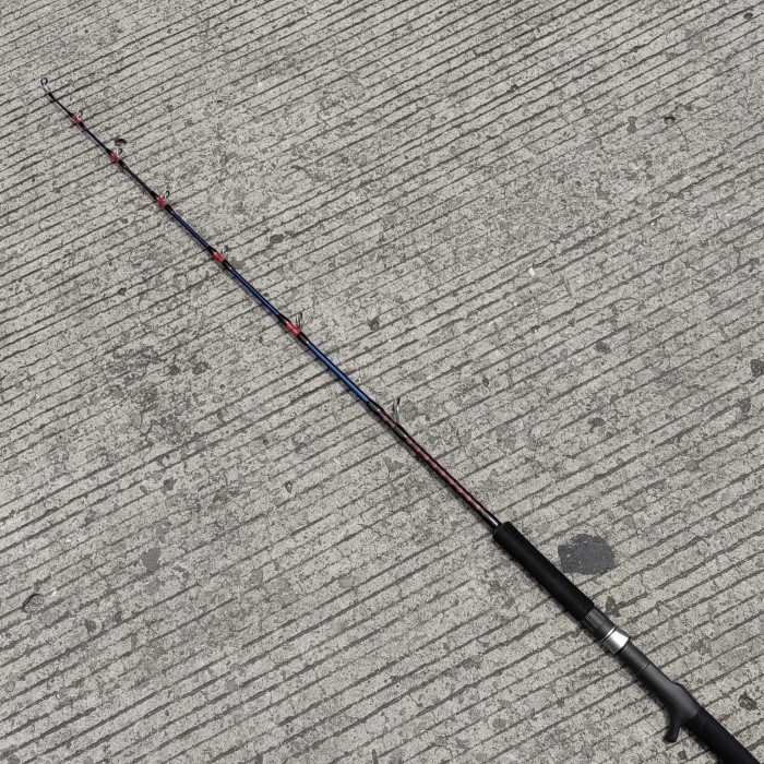 joran RIPPLE PE5 Custom Rod Overhead jigging