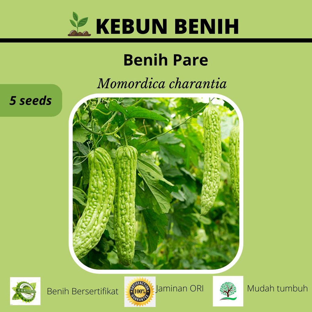 5 Benih Sayur Pare OPAL F1 Kualitas Unggul