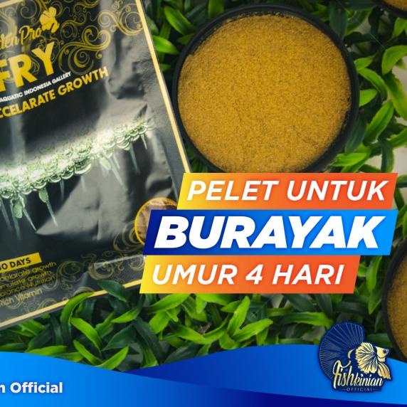 PELET IKAN CUPANG BETTA FISH - FRY UNTUK ANAKAN CUPANG