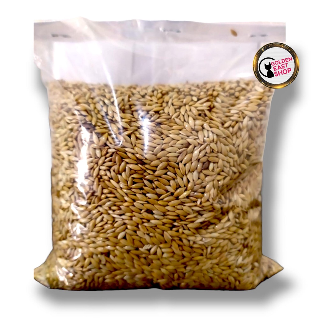 KENARI SEED VITA MURNI KENARI SEED PAKAN BURUNG KENARI BRANJANGAN LOVE BIRD DLL