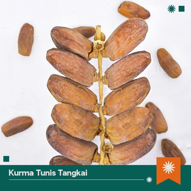 

KURMA TUNISIA TANGKAI 1KG / KURMA TANGKAI LEZAT ENAK PREMIUM DATES