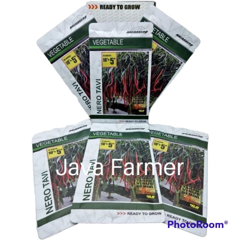 Benih Cabe Keriting Nero Tavi 10 gram