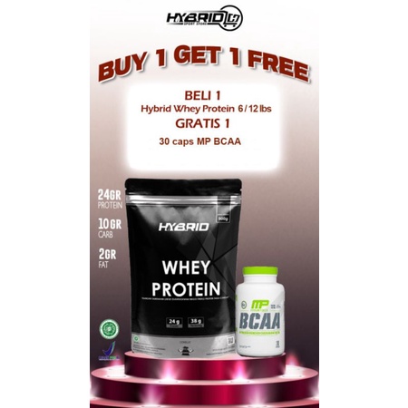 Jual HYBRID WHEY PROTEIN 6 lbs (2700 gram) Cokelat Suplemen Fitness Gym