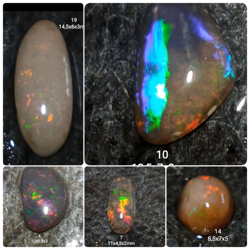 1-50 kalimaya asli original Banten milky.susu.teh.black Opal,kopi,solid,jarong kontes