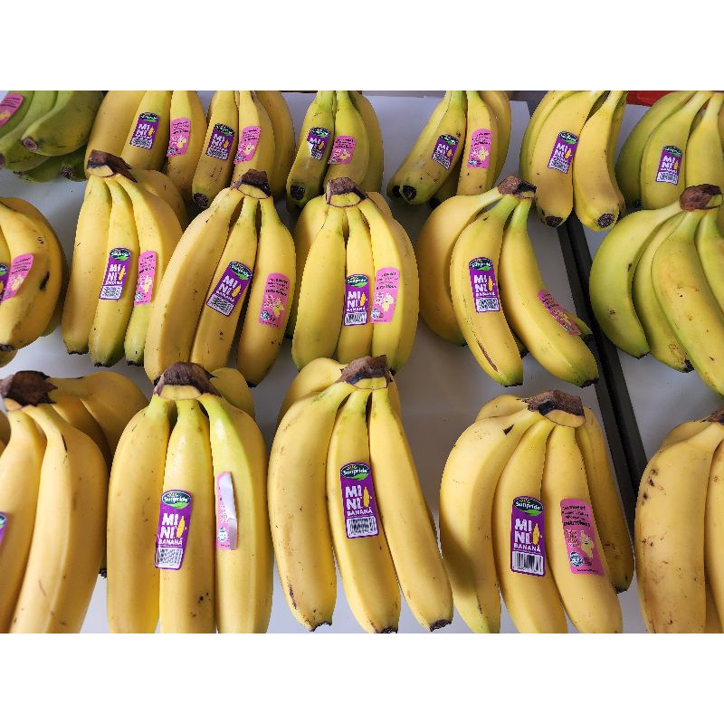 

PISANG CAVENDISH