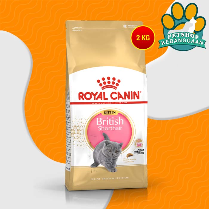 Makanan Kucing Royal Canin British Shorthair Kitten 2Kg Cat Food Ras