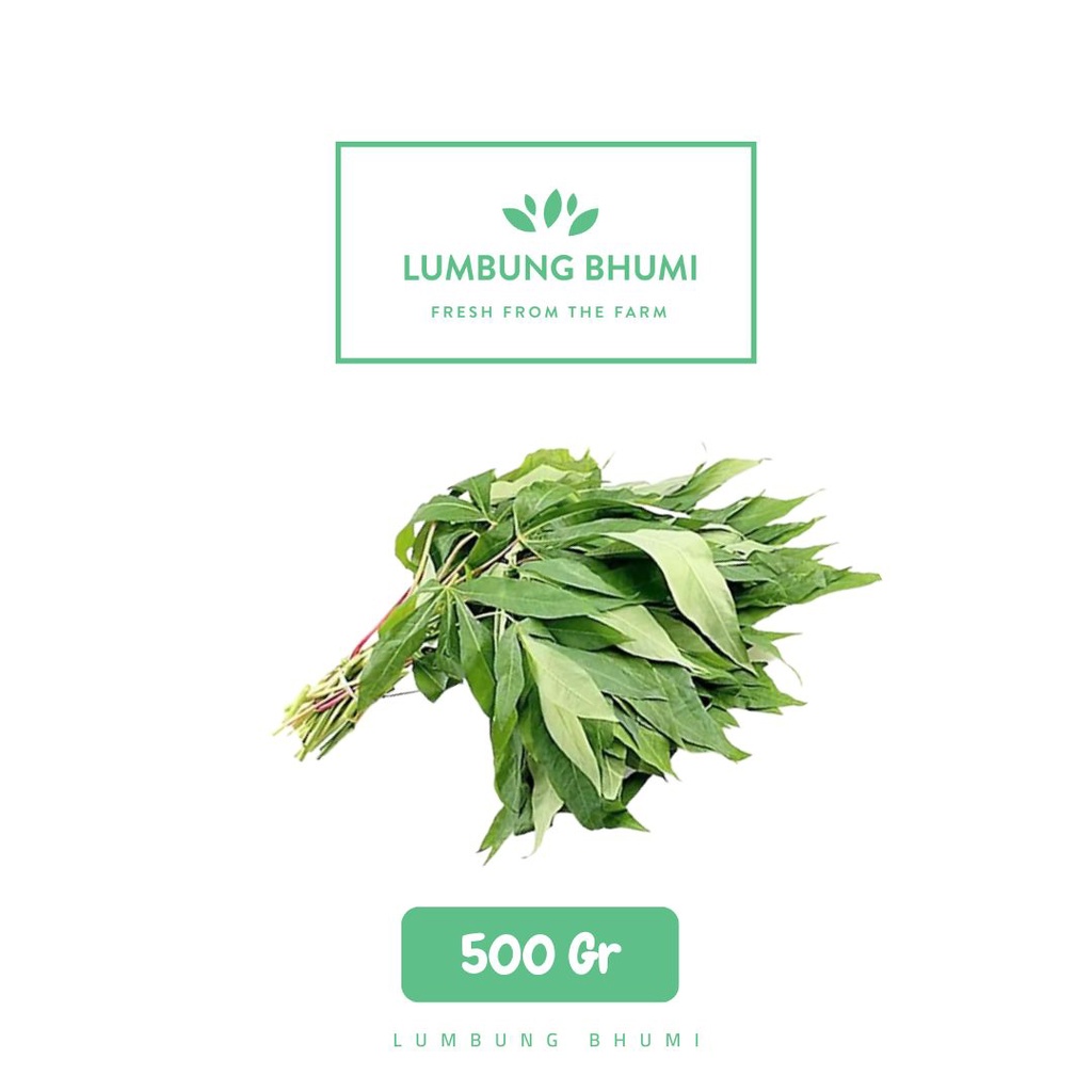 

Lumbung Bhumi - Daun Singkong 500 Gr ( Sayur Curah )