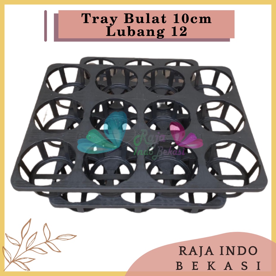 Tray Bulat 10cm Lubang 12 Untuk Anggrek/Pot Semai Pot Bulat Bibit Benih Flexible-Tray Anggrek 12 Lubang /Tray Anggrek Dewasa 3,5&quot;