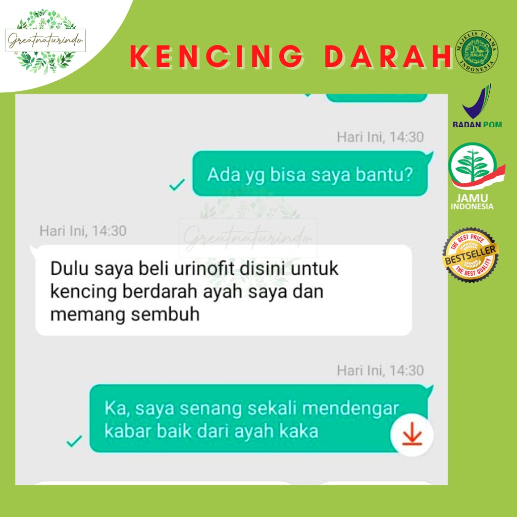 Obat sipilis kencing nanah pria gonore sifilis raja singa kelamin keluar nanah herbal wanita Urinofit Naturindo